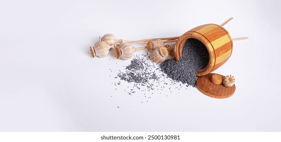 磁力柠檬